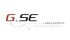 GSE