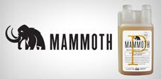 Mammoth-P