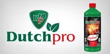 DutchPro