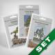 Bonsai-Saatgut-Set, Outdoor