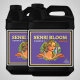 Advanced Nutrients pH Perfect Sensi Bloom A und B, 2x10 Liter