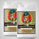 Advanced Nutrients pH Perfect Connoisseur Grow Coco A und B, 2x1 Liter