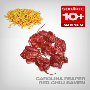 Carolina Reaper Red Chili Samen, 10 Stk.