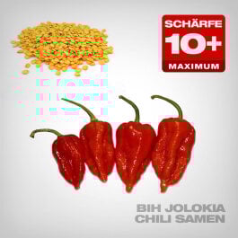 Bih Jolokia Chili Samen, 10 Stk.