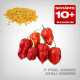 7 Pod Jonah Chili Samen, 10 Stk.