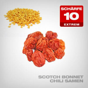 Scotch Bonnet Chili Samen, 10 Stk.