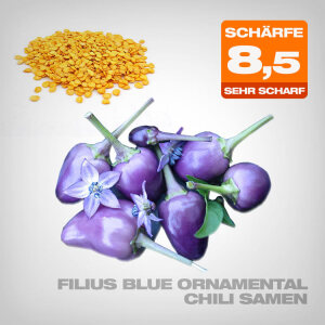 Filius Blue Ornamental Chili Samen, 10 Stk.