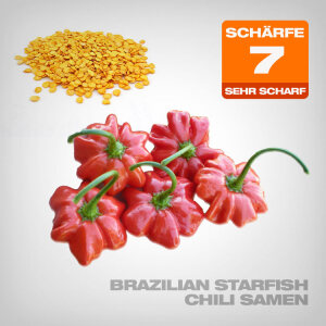 Brazilian Starfish Chili Samen, 10 Stk.