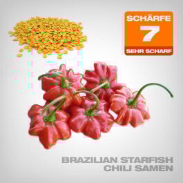 Brazilian Starfish Chili Samen, 10 Stk.