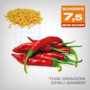 Thai Dragon Chili Samen, 10 Stk.