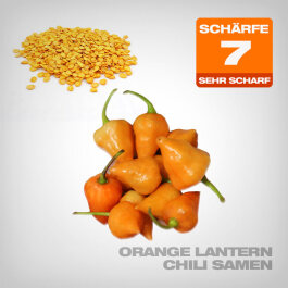 Orange Lantern Chili Samen, 10 Stk.