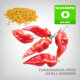 Habanada Red Chili Samen, 10 Stk.