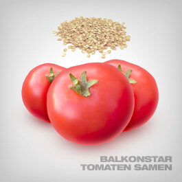 Balkonstar Tomaten Samen, 10 Stk.