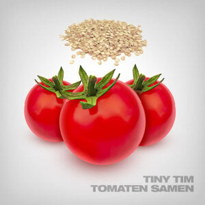 Tiny Tim Tomaten Samen, 10 Stk.