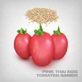 Pink Thai Egg Tomaten Samen, 10 Stk.