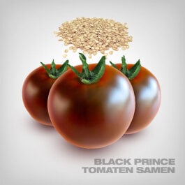 Black Prince Tomaten Samen, 10 Stk.