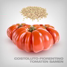 Costoluto Fiorentino Tomaten Samen, 10 Stk.