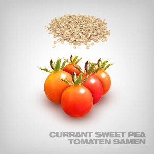Currant Sweet Pea Tomaten Samen, 10 Stk.