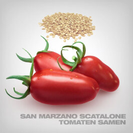 San Marzano Scatalone Tomaten Samen, 10 Stk.