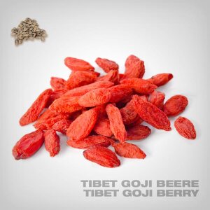 Pflanzensamen, Tibet Goji-Beere