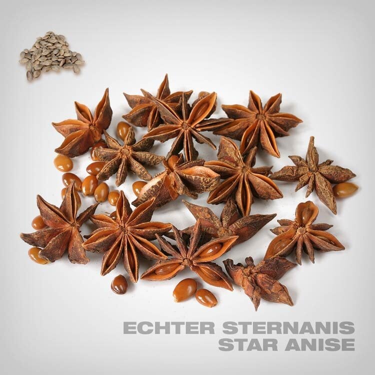 Ist Sternanis winterhart?