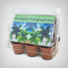 Exotische Pflanzen Anzucht-Set, Palmengarten