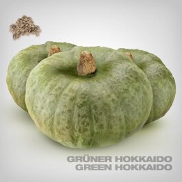Kürbis Samen, Grüner Hokkaido