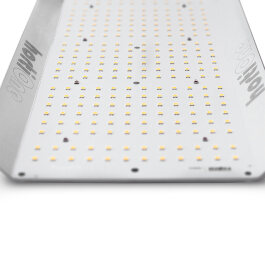 hortiONE 420 LED inkl. Netzteil, 150W