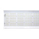 hortiONE 600 LED inkl. Netzteil, 220W