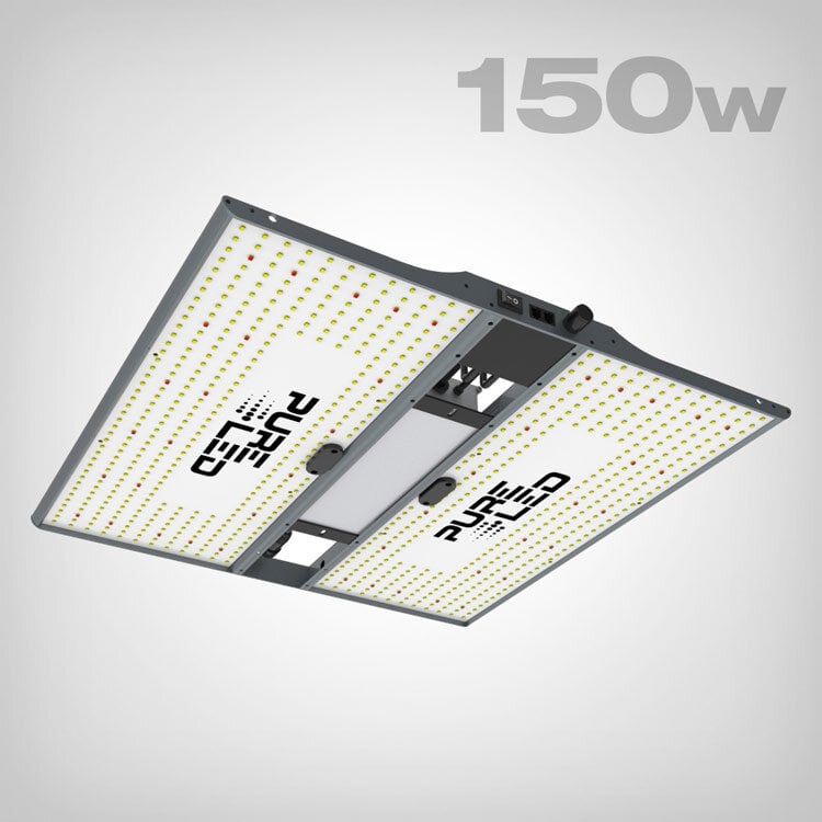 Pure LED Quantum Board Q150 V2 150W Vollspektrum für 60x60cm | Dimmbar geräuschlos hohe Effizienz 2,7 mol/J für Indoor-Growing