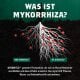 Dynomyco Mycorrhizae, 340g