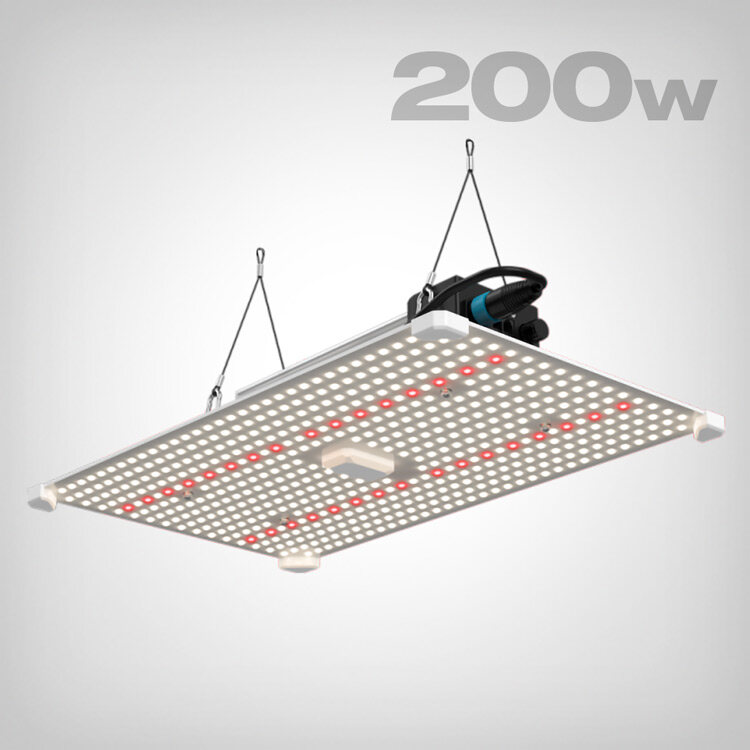 LUMii BLACK Blade LED 200W Vollspektrum Growlampe | 520 µmol/s Effizienz für Indoor Gartenbau