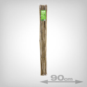 Bambusstab Pflanzenstütze, 90cm, 25 Stk.