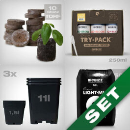 Grow-Starter Kit für 3 Pflanzen, Erde, organisch