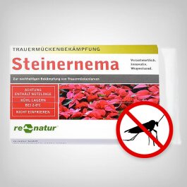 Nematoden Steinernema gegen Trauermücken