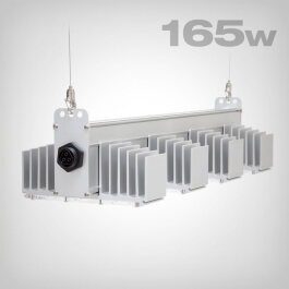SANlight Q4W S2.1 Gen2, 165W
