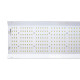 hortiONE 600 LED inkl. Netzteil, 220W