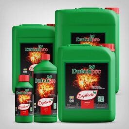 DutchPro Explode, 250ml-20L