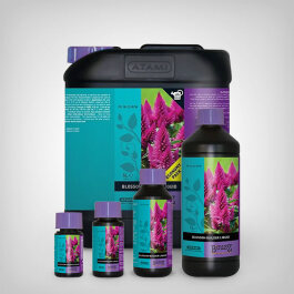 Atami Bcuzz Blossom Builder, 50ml-5L