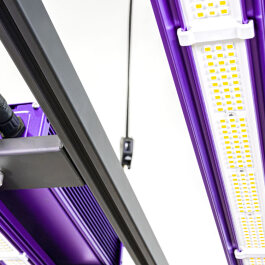 Lumatek ZEUS 465W PRO LED 3.1