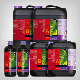 Atami Bcuzz Coco A und B, 1-10L