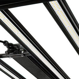 Lumatek Apollo 550W LED 2.8