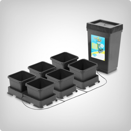 Stromlose Bewässerung mit Autopot Autopot easy2grow 6