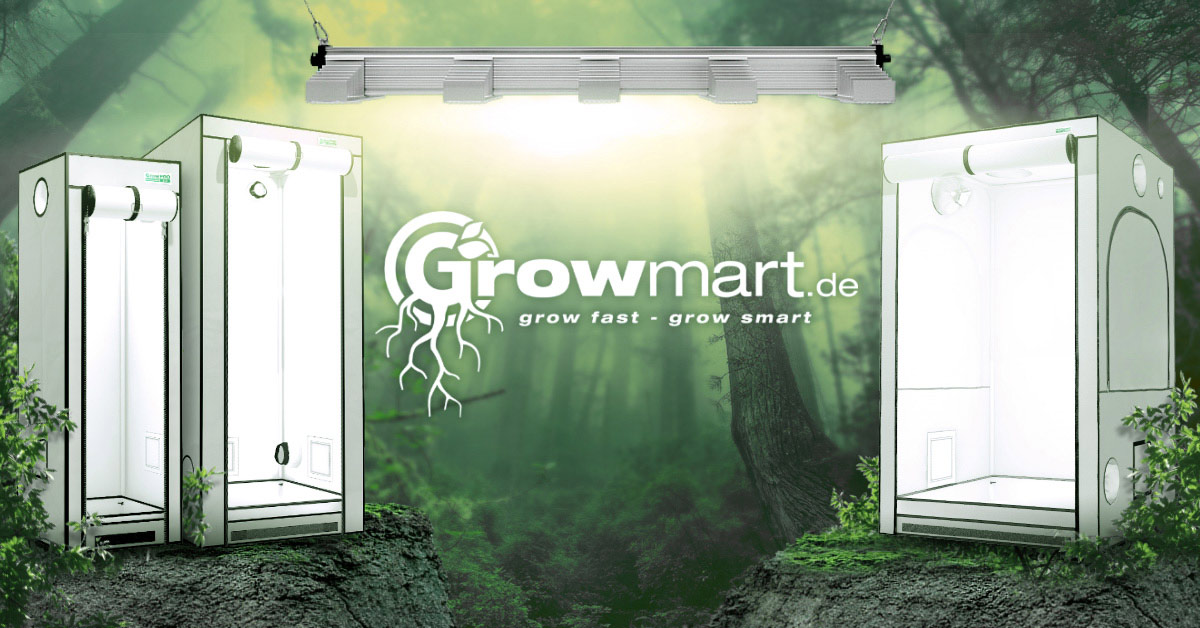 Growbox Beleuchtung